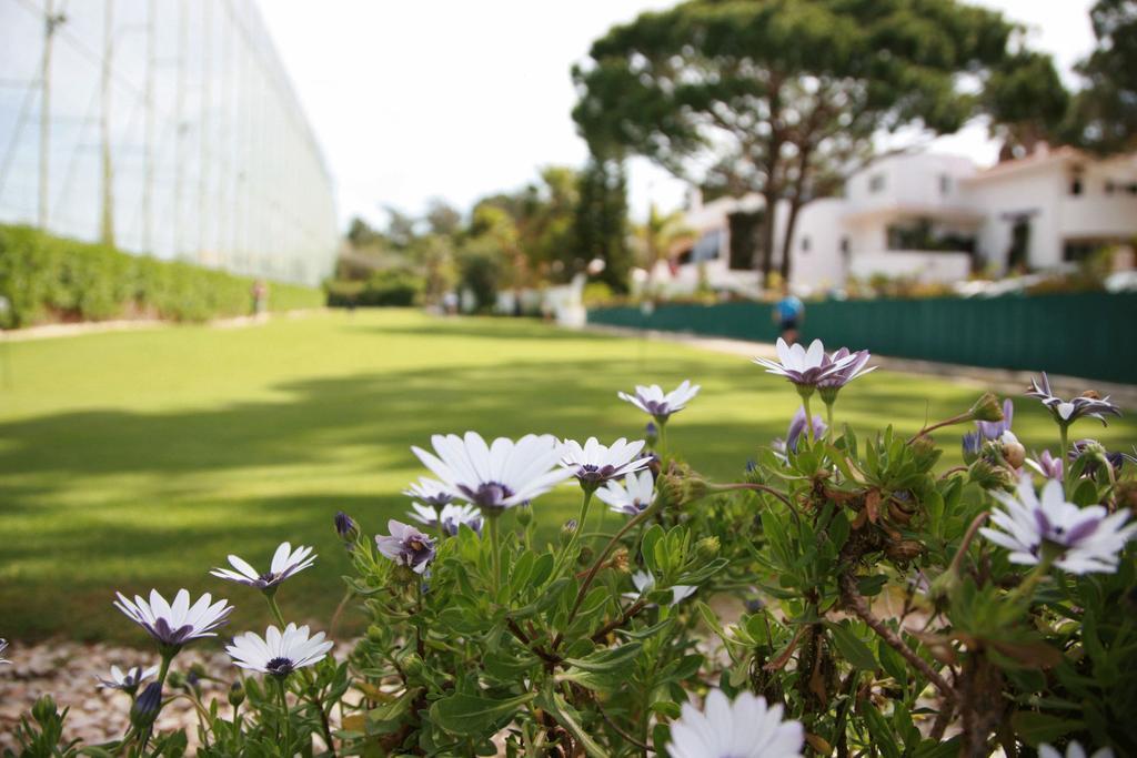 Barringtons Centro Desportivo Vale Do Lobo Apartment อัลมันซิล ภายนอก รูปภาพ